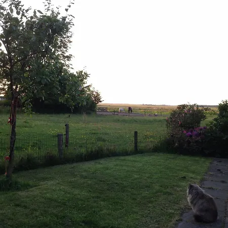 Kleurrijk *