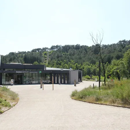 Kleurrijk Nyaraló